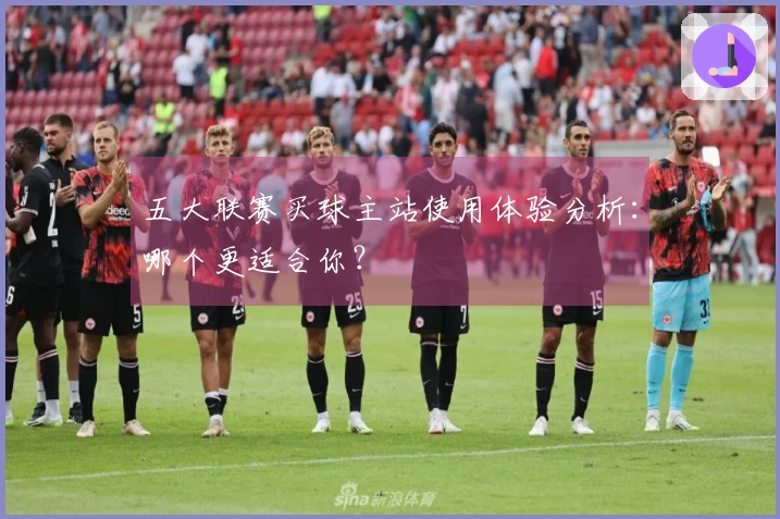 五大联赛买球主站使用体验分析：哪个更适合你？