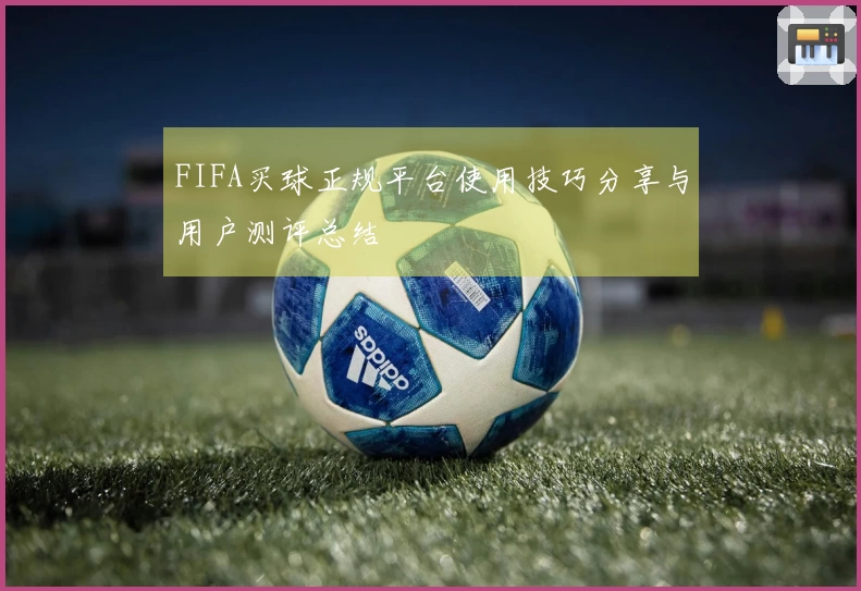 FIFA买球正规平台使用技巧分享与用户测评总结
