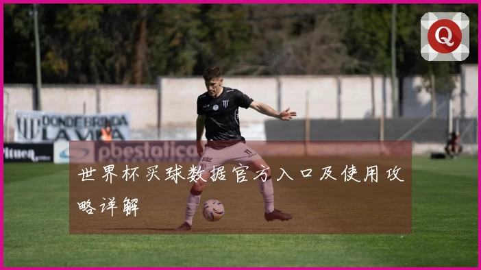 世界杯买球数据官方入口及使用攻略详解