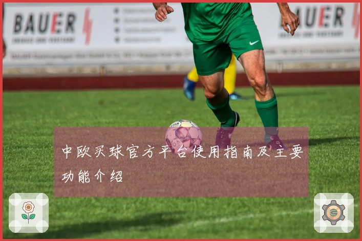 中欧买球官方平台使用指南及主要功能介绍