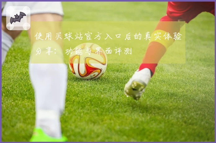 使用买球站官方入口后的真实体验分享：功能与界面评测