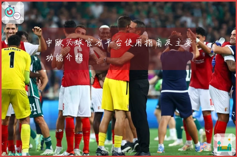 中欧买球官方平台使用指南及主要功能介绍